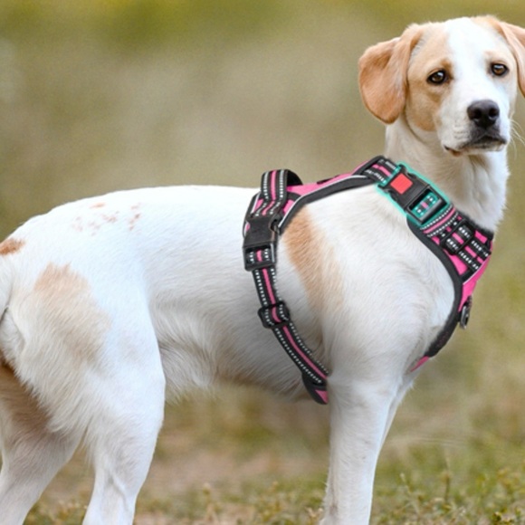 PoyPet Adjustable Reflective Dog Harness – Size Medium, Pink - Picture 14 of 16